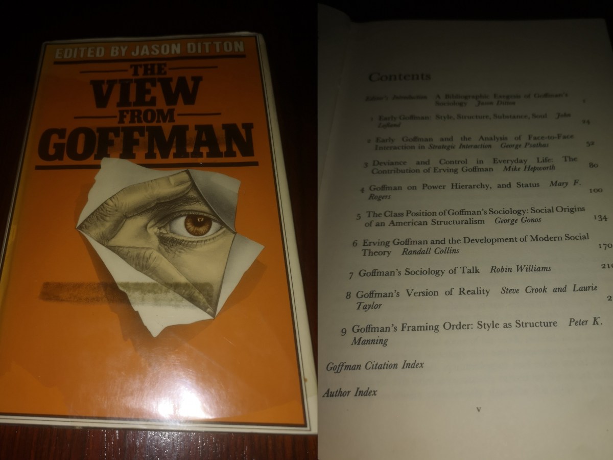 “The View from&nbsp;Goffman”