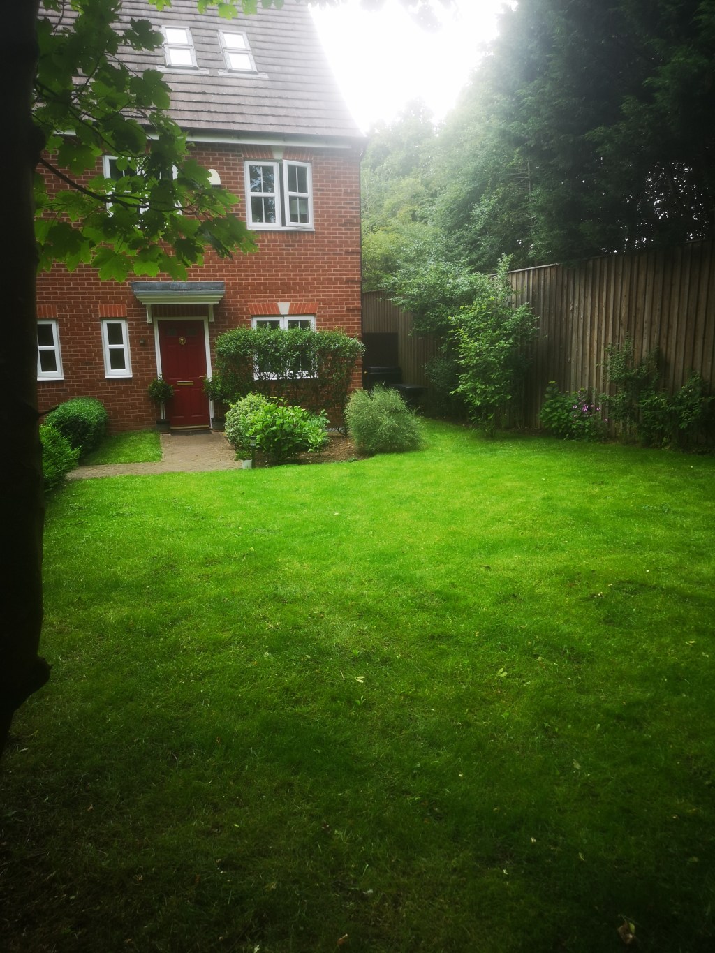 Garden makeover rolls&nbsp;on…