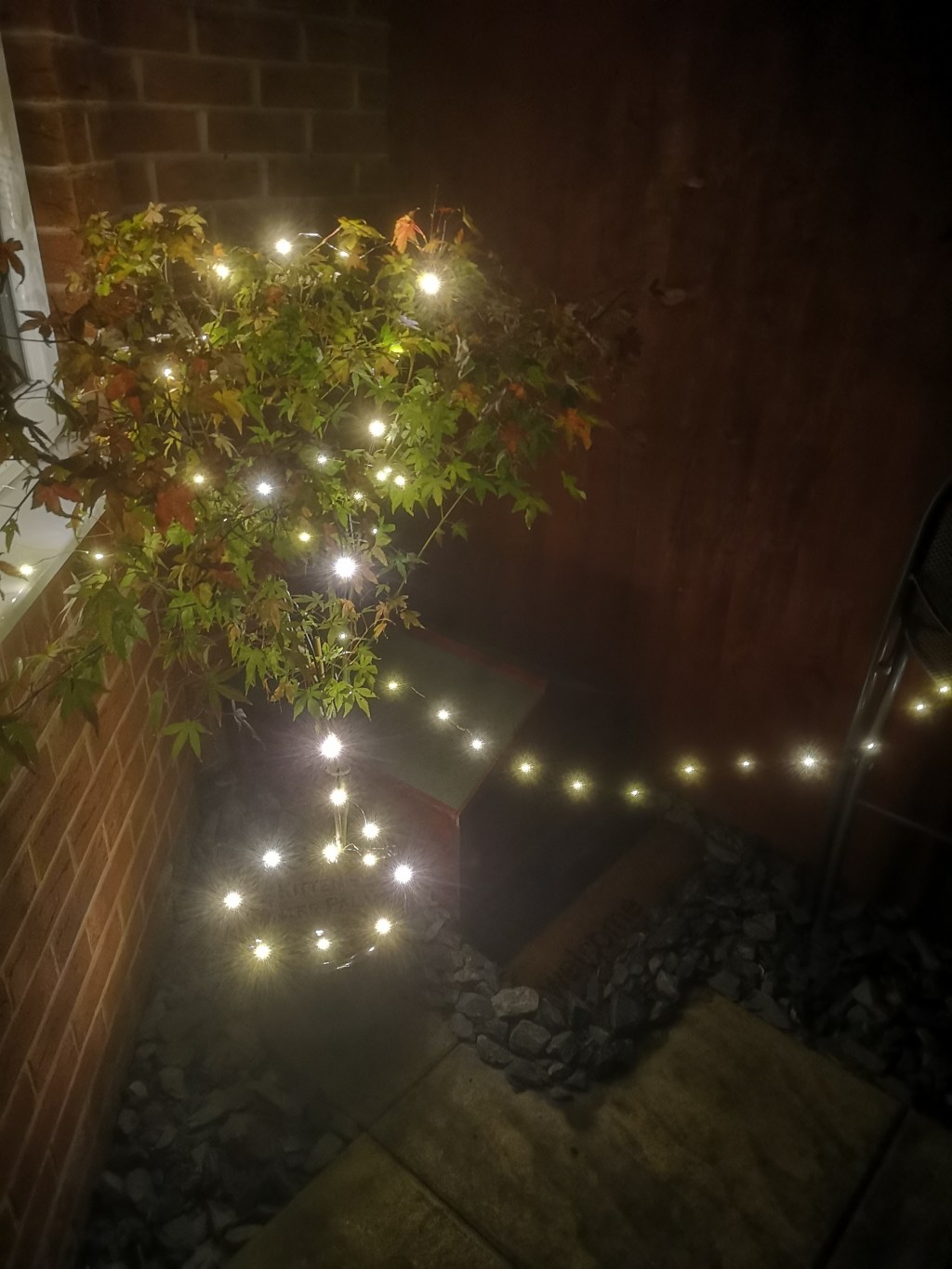 Update: Cat’s Winter&nbsp;Palace