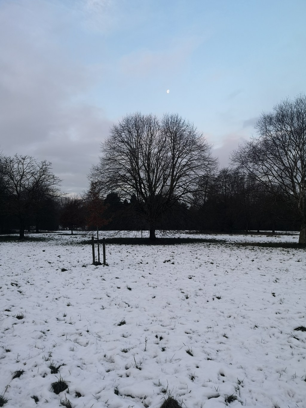 A bit more snow, a few more&nbsp;outings