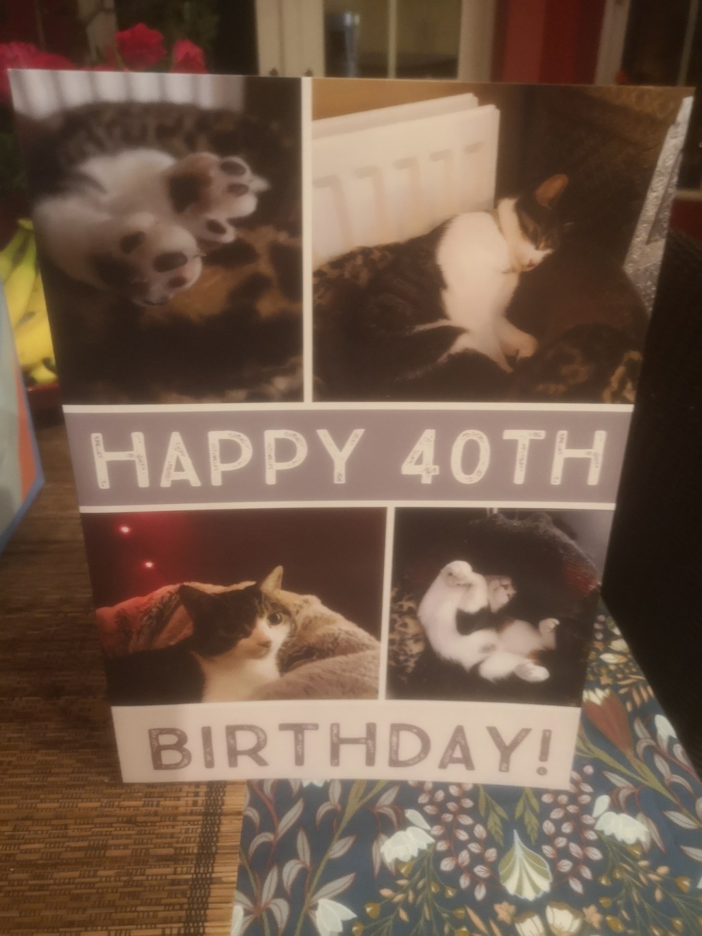 My cat’s the&nbsp;best!