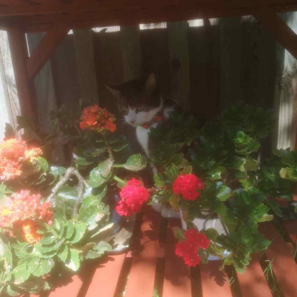 Wet hot English&nbsp;summer