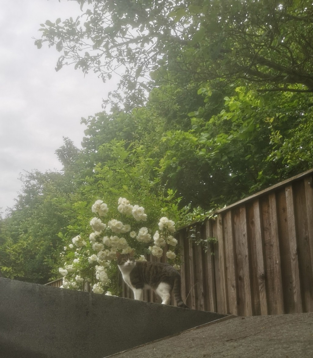 News: Dramatic flash&nbsp;storm