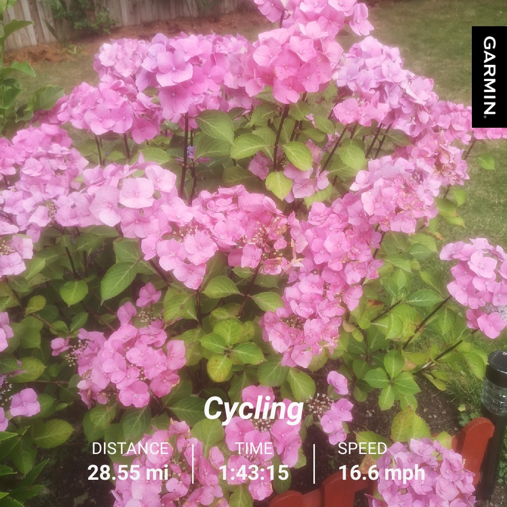 Upping the pace, upping the&nbsp;distance