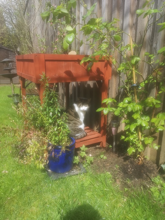 Spring & Early&nbsp;Summer