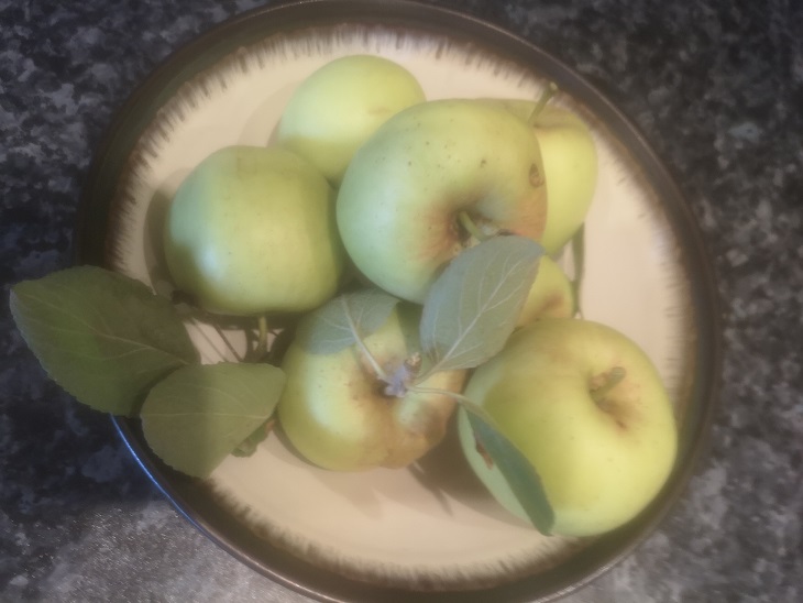 Dr James’ Good News (1): How do you like those&nbsp;apples?