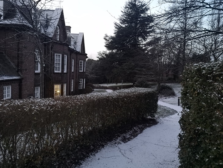 Office Winter Wonderland