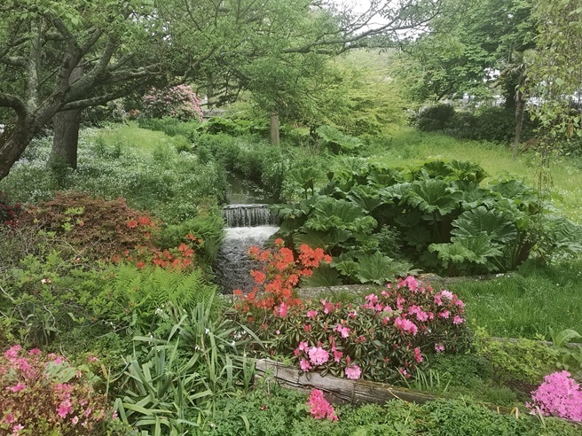 Bournemouth & the New&nbsp;Forest