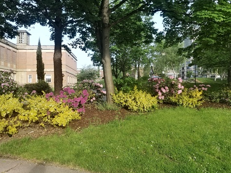 A Third & Final Spring on&nbsp;Campus