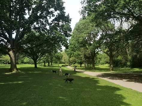Never Enough Time: enjoying the local&nbsp;park