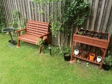 The garden: Lots of colour and a new bench (for the cat&nbsp;apparently)