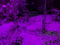 Romcom Winter Weather